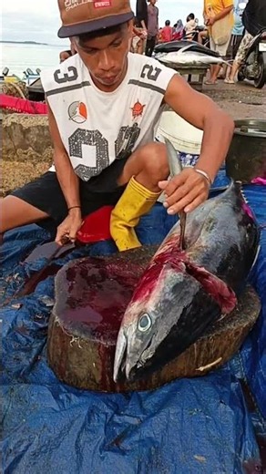Wow, this young man's skill in cutting up a fresh yellowfin tuna is great on the beach #shorts #fish