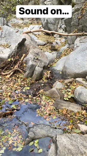 15 reactions | Sound on. The sounds of rain falling, water running, and kiddos laughing. It doesn’t get better. #watersounds #stream #peaceful | Fort Gregory Outdoor Company | Facebook