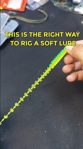 The Easy Way to Rig a Soft Lure Correctly (Beginners Must Know)