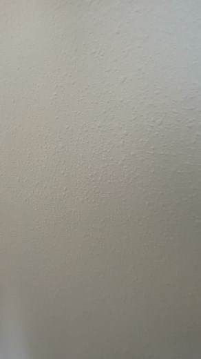 3.1K views · 41 reactions | Discover the magic of our upgraded 40ft...