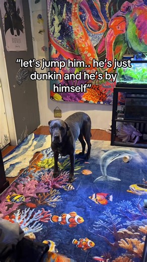 Don't Mess with Patricia: The Dog's Perspective