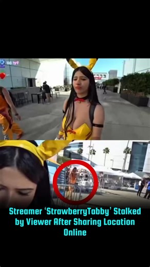 Aayush Parmar on Instagram: "Streamer ‘StrawberryTabby’ Stalked by Viewer After Sharing Location Online #news #reels #viral #neonman #strawberrytabby"