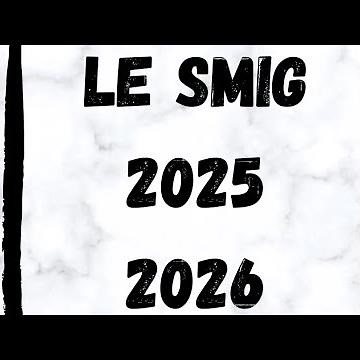 Le SMIG 2025 .2026