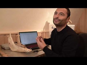 Le cheval, toute une histoire !