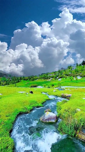 Beautiful Green Fields & Crystal Clear Stream 🌿💧 | Nature 4K #travel