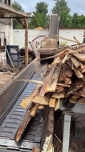 Industrial Wood Chipper Process: High-Capacity Timber Chipping in Action