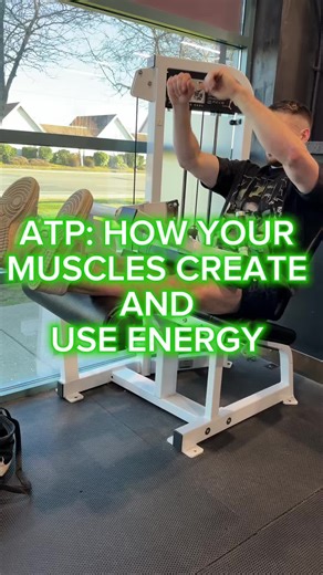 **ATP**, or **adenosine triphosphate**, is the primary energy currency your body uses to power every action, from blinking to lifting weights. Without ATP, your muscles wouldn’t be able to move, contract, or perform any of the actions that keep you alive and active. Your body makes ATP through three main processes. The first is **oxidative phosphorylation**, which takes place in the **mitochondria**—the tiny powerhouses of your cells. This process consists of two parts: the **Krebs cycle** and t