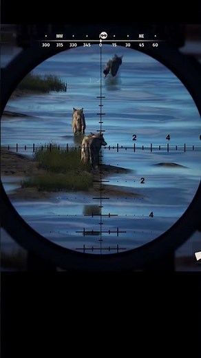 Way of the Hunter: Farkasfalka (Wolf pack) #wayofthehunter