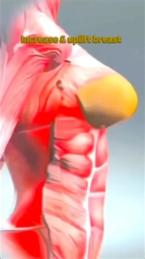 #breast #uplift #workout #motivation #fatloss #fyp #shorts #homeworkout #exercise #youtubeshorts