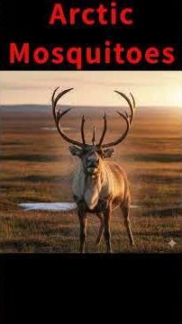 Arctic Mosquitoes Explode as Ice Melts (Climate Change Warning)