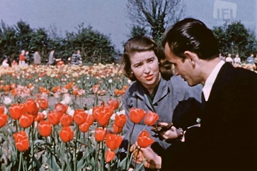 WATCH: Vintage footage shows how Ireland ushered in springtime in the 1950s