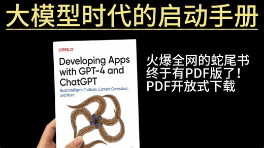 今年读过最绝的一本大模型神书（大模型，LLM)