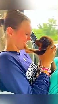 Sloths in Space 🦥🚀 Slow-Motion Astronaut Adventures