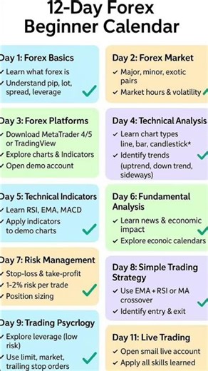 From Beginner to Trader in 12 Days 📈🔥No excuses. Just discipline & consistency. 💯