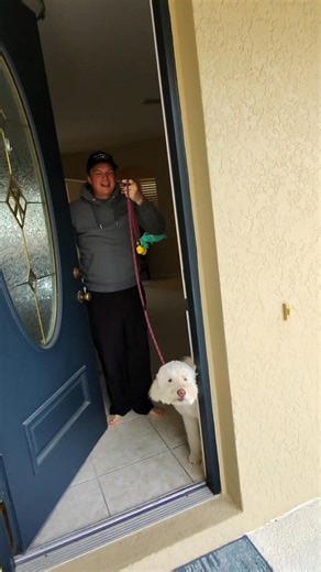 2.5 hours of grooming… in just 50 seconds ✂️🐶✨ From the moment our van pulls up to your door, it’s all about comfort, care, and attention to every little detail. The brushing, the bath, the drying, the haircut, nothing is rushed. 😍 Mobile. Professional. Right at your doorstep. 🚐💜 Ready to see your pup’s transformation? 🖱️Click the link in our bio and book their grooming session today.🚙 | Buddy Mobile Pets Grooming