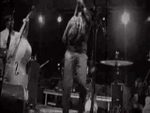 "Paranoia In B Flat Major" Music Video