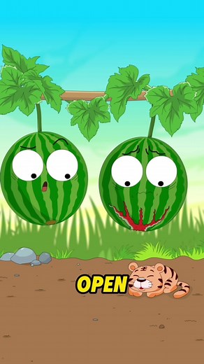 Why Watermelons Crack Open and How to Prevent It