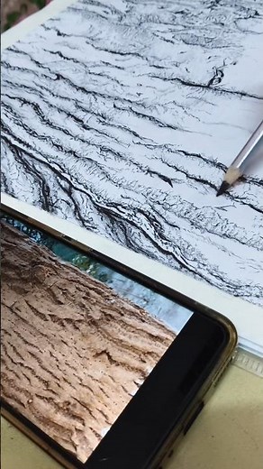 How To Draw Tree Bark 🌳🪵 | Tree Sketching | #drawing #sktech #painting