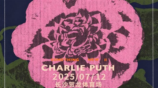 【Charlie Puth丨长沙演唱会】7.12长沙贺龙体育场 Charlie Puth演唱会 远处看台视角 不完全记录 存档