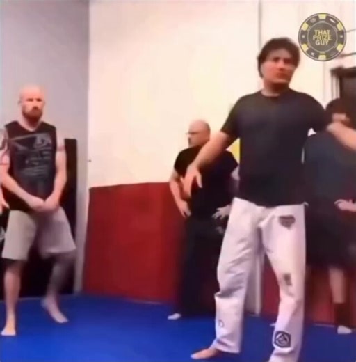 Akido fighter challenged a MMA fighter 😭