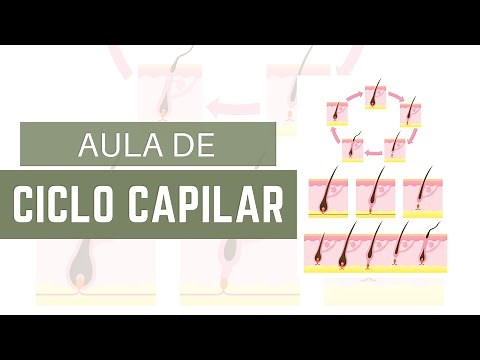 Ciclo Capilar Explicado! Entenda as Fases do Crescimento do Cabelo