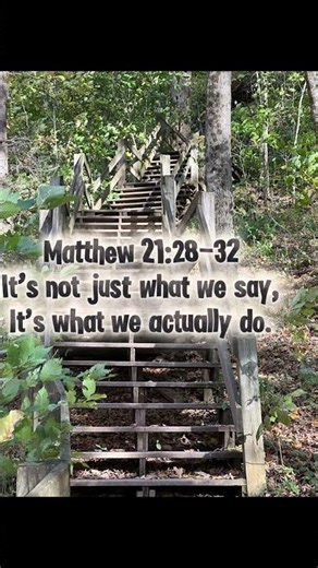 Matthew 21:28-32 | Obedience Over Words| daily faith reflection