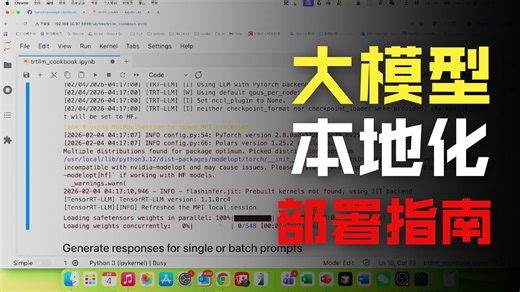 利用TensorRT- LLM加速 基于DGX Spark 平台Nemotron Nano 9B v2推理