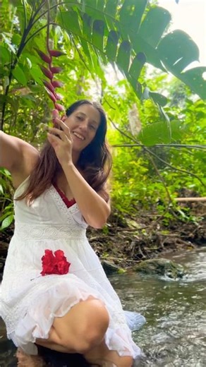 For you 🌹@JungleMuse #shorts #shortvideo #mountain #cold #ice #flower #girl