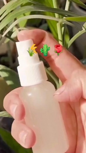 3.2K views · 32 reactions | Rice water for glass skin!!  Recipe:...