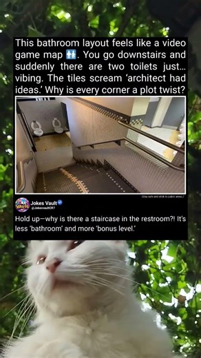 Staircase in the bathroom?! Weird restroom layout ever