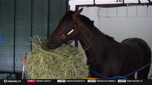 26K views · 410 reactions | The $1 million Pennsylvania Derby (G1) is coming up this Saturday at Parx. Curtis Kalleward and Kurt Hoover preview the race that features 10 horses including the ML favorite BAEZA. Watch on FanDuel TV. | FanDuel Racing | Facebook