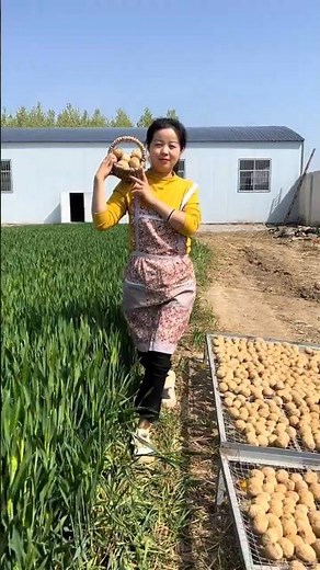 🥰 Satisfying with delicious food 🥳 #shorts #streetfood #satisfying