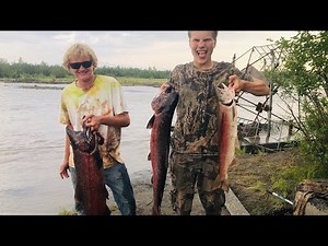 HUGE King Salmon at Fish Wheel