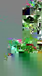 1.1K views · 204 reactions | Legends Never Die is out Now! Our new Record "DIE ABOUT IT" drops NOV 3 | Bad Wolves | Facebook