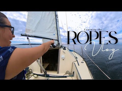 Trimming the Sails & Spotting Marine Life | Learning to Sail Vlog