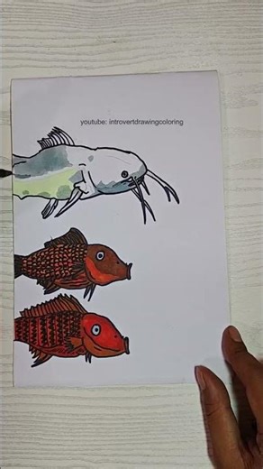 drawing and coloring catfish cat fish #art #drawingno1 #drawing #sketch #painting