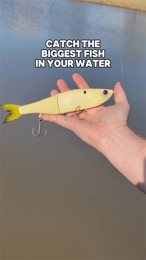 Upgrade Your Swimbait Game for Better Fishing