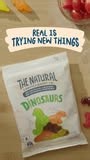 Dinosaurs on a pizza? Er, Sure. We all know that sometimes real is trying new things. | The Natural Confectionery Co.