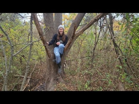 White Walnut at the Crappy Creek Preserve!