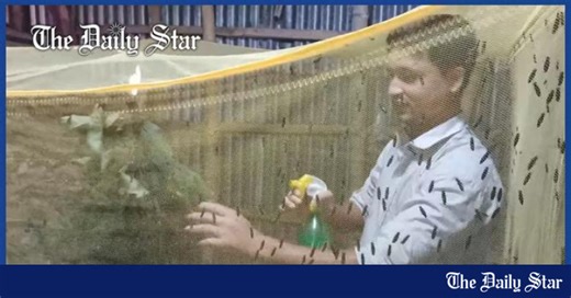 Insect Farming: A new hope for the youth