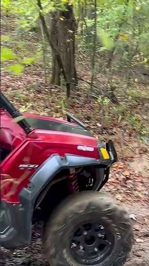 Rzr 800 hitting the mud