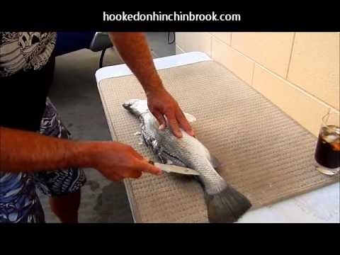 Filleting fish made easy with this simple tip.
