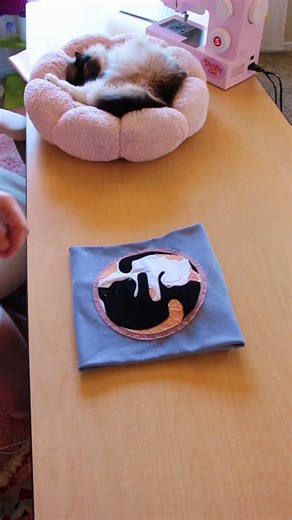 #cats #upcycling #thriftflip #diyfashion #ootd