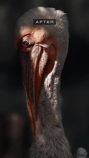 ‏#photography #photoshopped #colorgrading #photoediting #beforeandafter