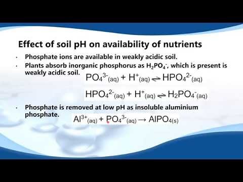 E.12.3 Discuss the effects of soil pH on cation-exchange capacity and availability of nutrients.