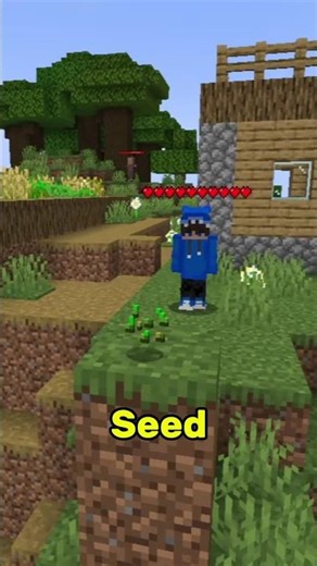 Best Seed For SpeedRun In Minecraft