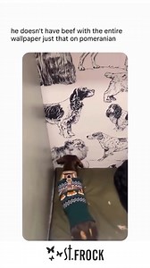Wallpaper vs. dog = ultimate showdown 😆 Who else witnesses epic pet battles? (via finallyafunnyanimalpage on IG) #stfrock #viral #memes #funny | St Frock