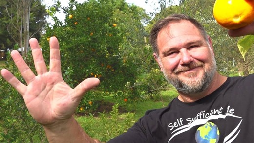Top 5 easy fruit trees for any garden: grow your own with Mark!
