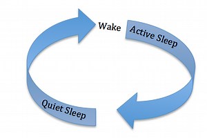 Why does my baby sleep so much during the day and not at night?