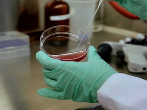 Genetically-encoded Molecular Probes to Study G Protein-coupled Receptors